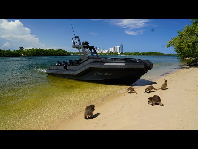 A Crooks Nightmare 100% Plastic Military Boat ! (DGS Monster 28)