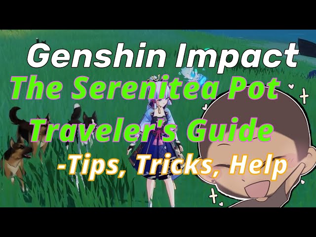 Genshin Impact 2022 | The Serenitea Pot Traveler's Guide | Tips, Tricks, Housing & Furniture Help