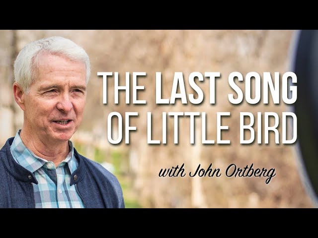 The Last Song of Little Bird | John Ortberg