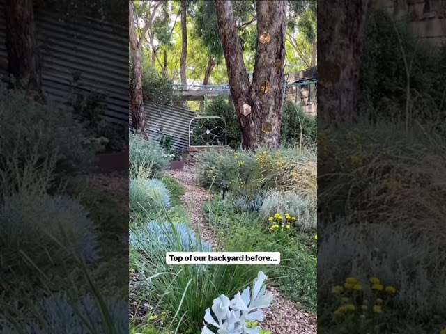 A garden makeover BEFORE & AFTER - Garden Design - Landscape Design - Gardening in Australia