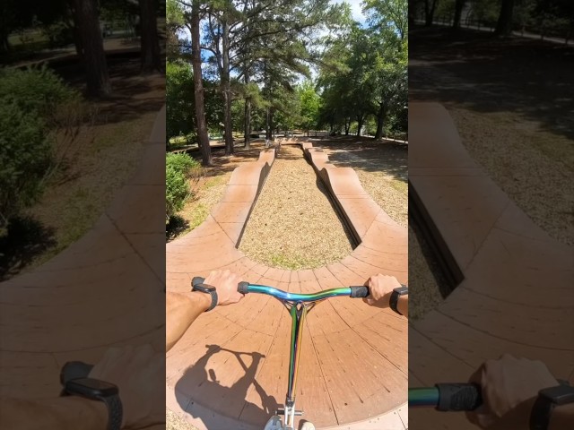 Secret Pump Track in the Forest