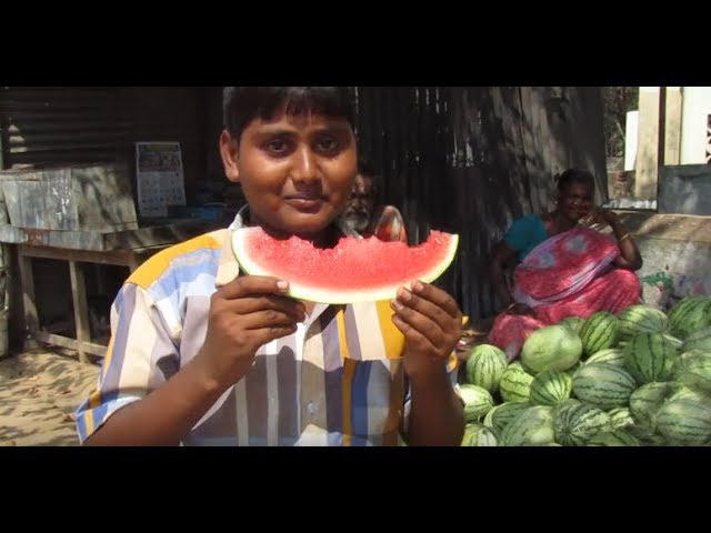 Watermelon Street Food | Tharpoosani  Eating  | Village Food Fact