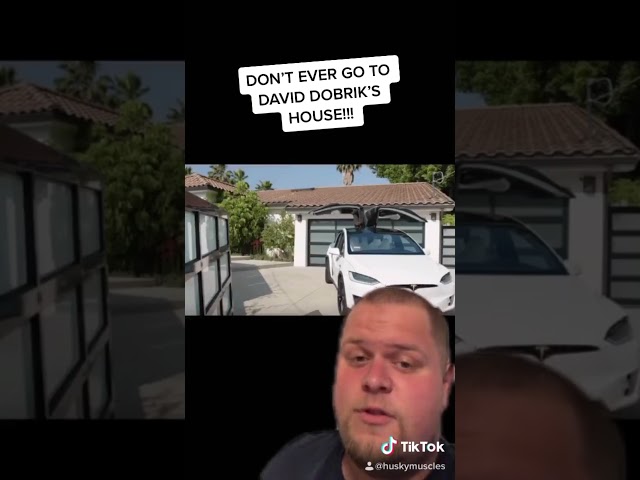 NEVER GO TO DAVID DOBRIK’S HOUSE!