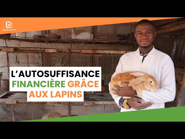 Burkina Faso : L’autosuffisance financière grâce aux lapins