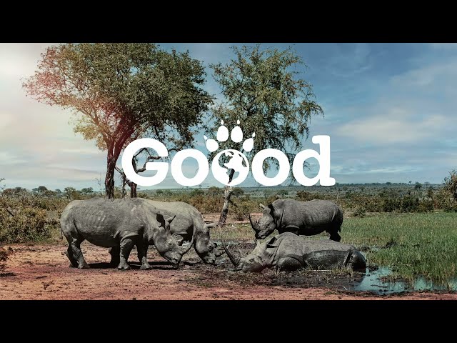 Rettet das Nashorn l Supported by Goood