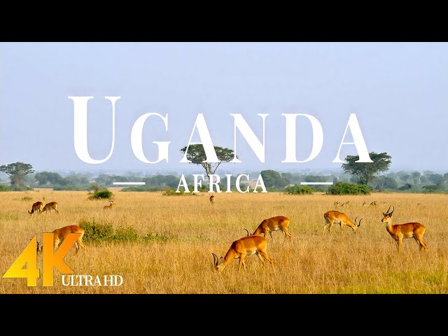 Uganda 4K Ultra HD • Stunning Footage Uganda | Relaxation Film With Calming Music - 4k Videos