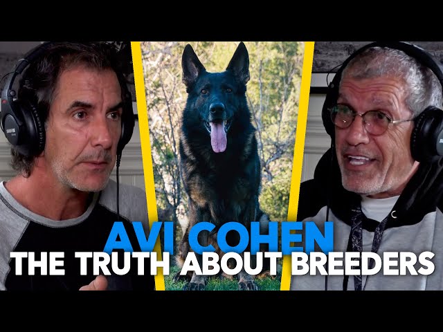 German Shepherd Breeders - The Good the BAD and the UGLY | Avi Cohen EP.80