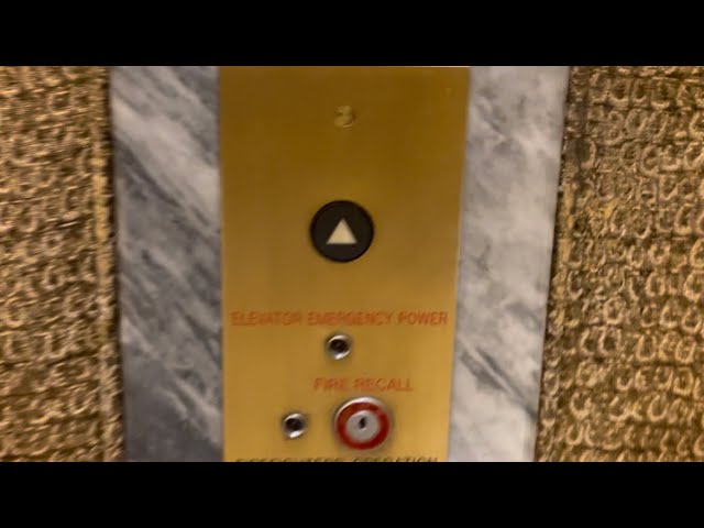 My first Mitsubishi elevator at the Caesars Palace in Las Vegas Nevada | filmed in May 11 2024
