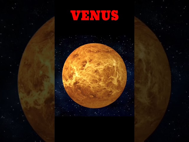 Venus Planet View 🌕️ #venus #solarsystem