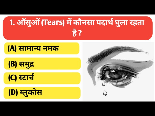 GK Questions | GK in Hindi | GK Questions and Answers 2024 | GK Quiz ||