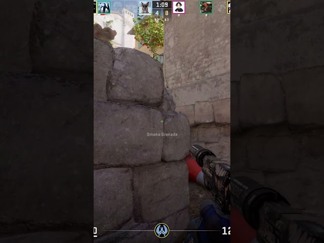 Sneaky Flank