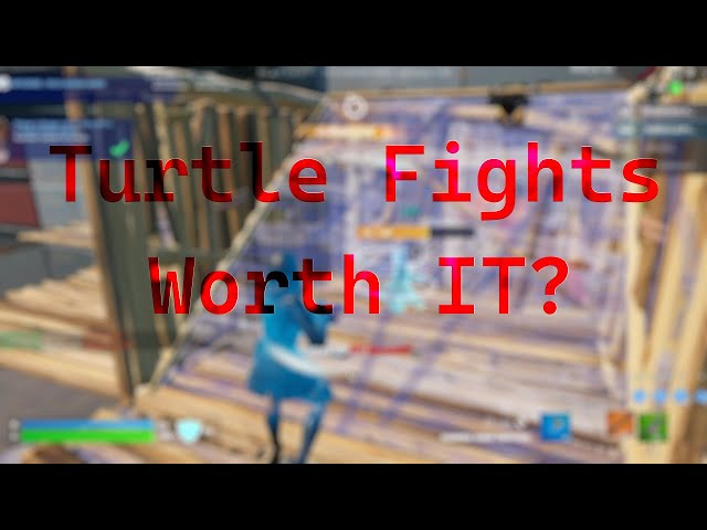 Are Turtle Fights WORTH it ?