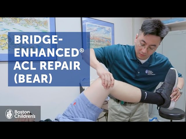 Bridge-Enhanced ACL Repair (BEAR) | Boston Children's Hospital