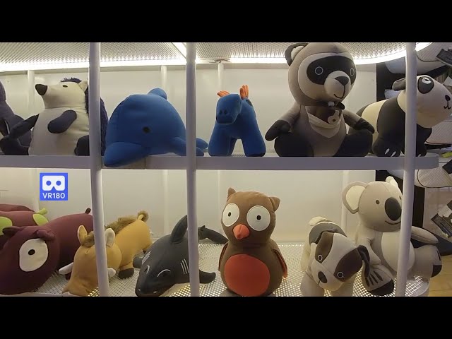 3D 180VR 4K Yogibo Toys Raccoon, owls, dog, Panda, Koala and all kind of dolls for children