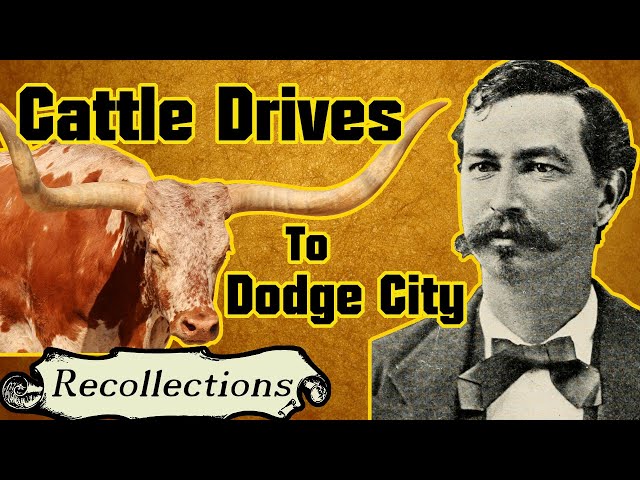 Cattle Drives to Dodge City (Recollections)