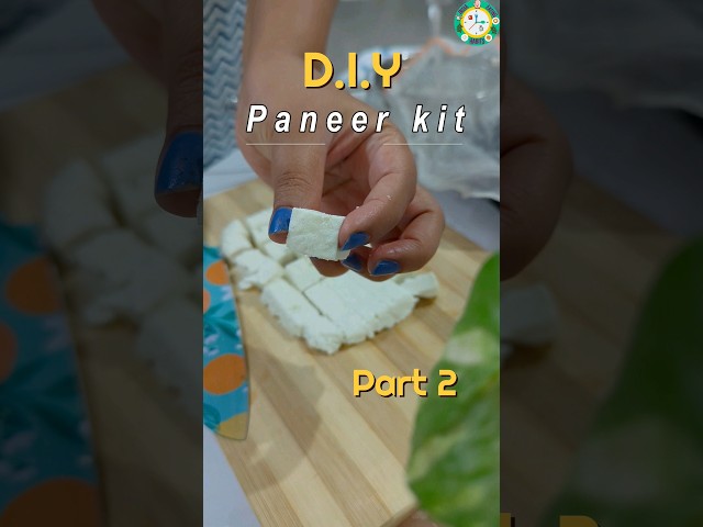 Paneer Making from DIY Paneer Press/Kit Part 2: Complete Guide