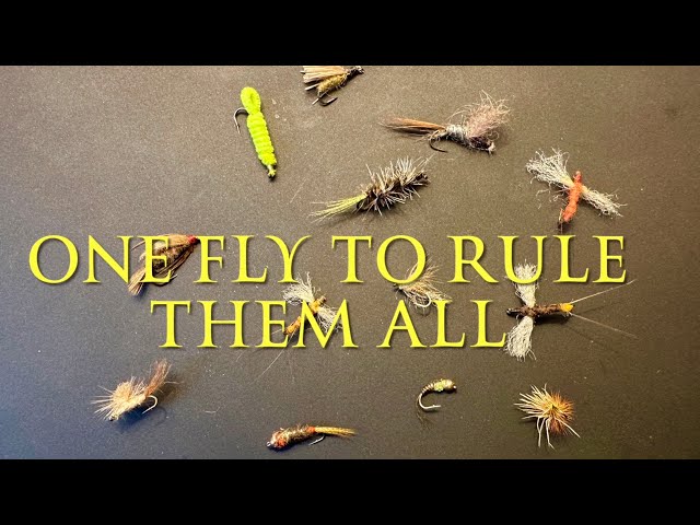 One Fly To Rule Them All - The Versatile, Humble, Effective and Dependable CK Nymph