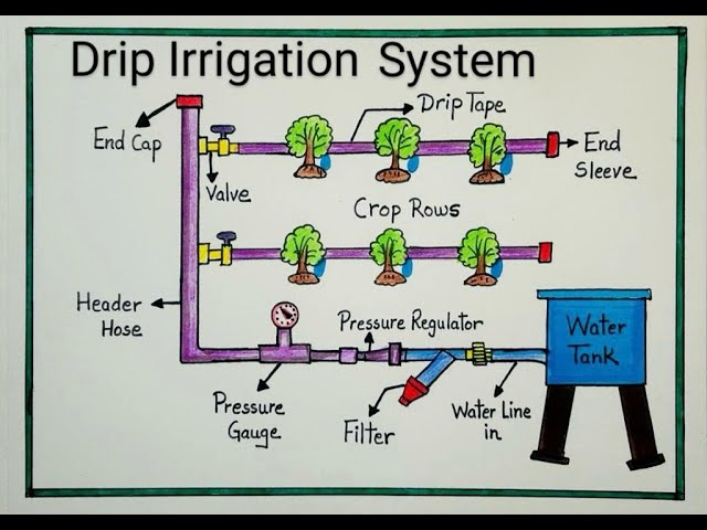 Drip Irrigation System labeled diagram drawing/ How to draw Drip System easy / Science Project CBSE
