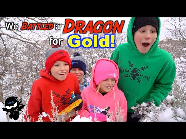 We Battled a Dragon! Search for Treasure X Dragon's Gold!