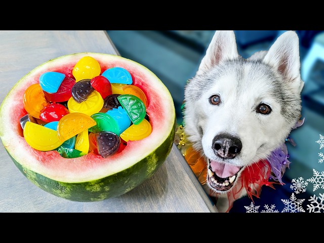 Rainbow Gummy Dog Treats 🌈 Easy DIY Dog Treats