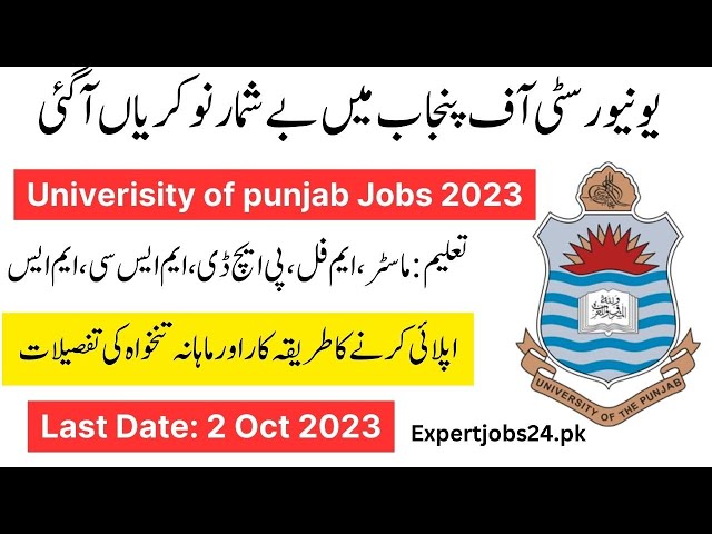 University of Punjab Latest Jobs 2023 | PU Jobs 2023 | Latest Govt Jobs Apply Now