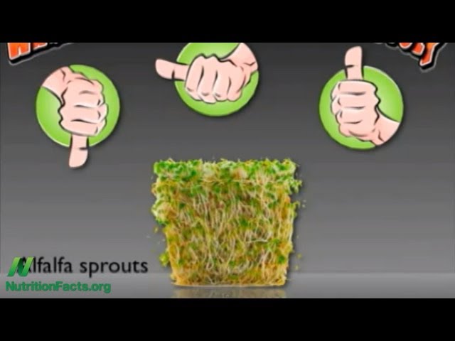 Don't Eat Raw Alfalfa Sprouts