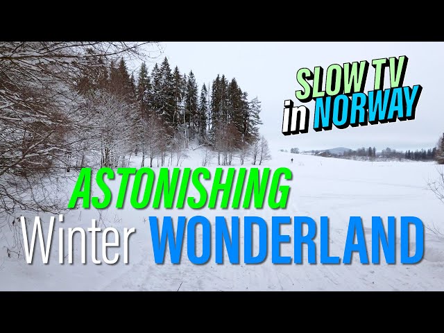 [Slow TV] ASTONISHING Winter WONDERLAND // Frozen lake - Semsvannet, Asker, Norway (Winter 2022)