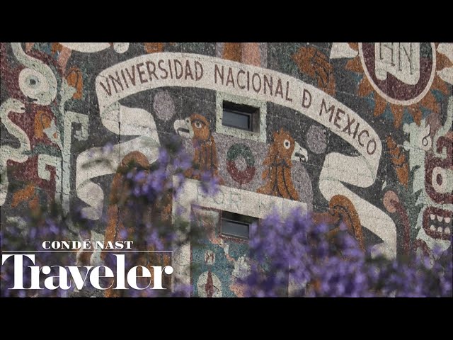 Diego Luna's México City: The Best Arts & Culture Spots