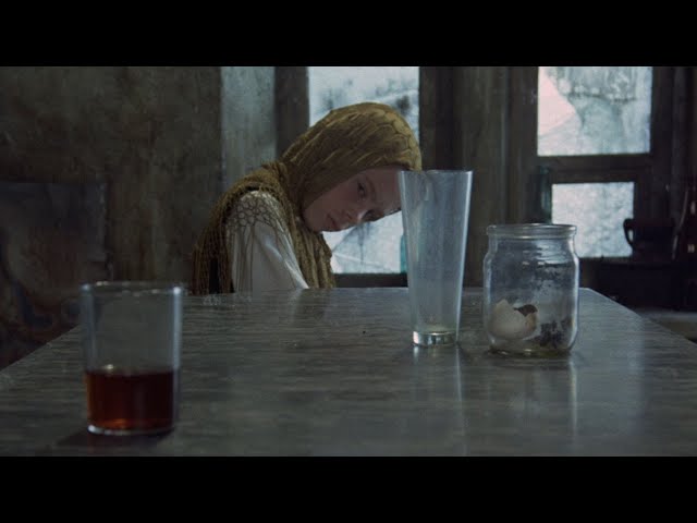 F For Film Tv #23 - «Attenzione! Strada dissestata»: Stalker di Andrej Tarkovskij
