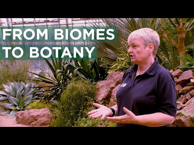 Why are Glasshouses so useful? | From Biomes to Botany