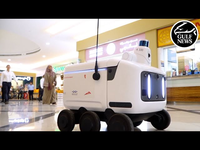 Dubai introduces food delivery robots called ‘talabots’