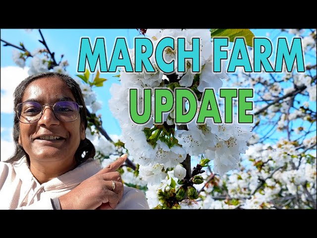 Central Portugal March Farm Tour Full with DIY and Short updates #91