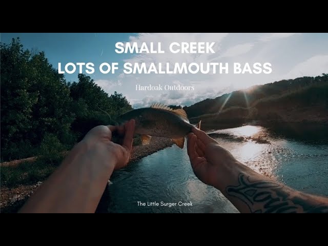 Creek fishing for Smallmouth bass | Cast a line Eps. 3