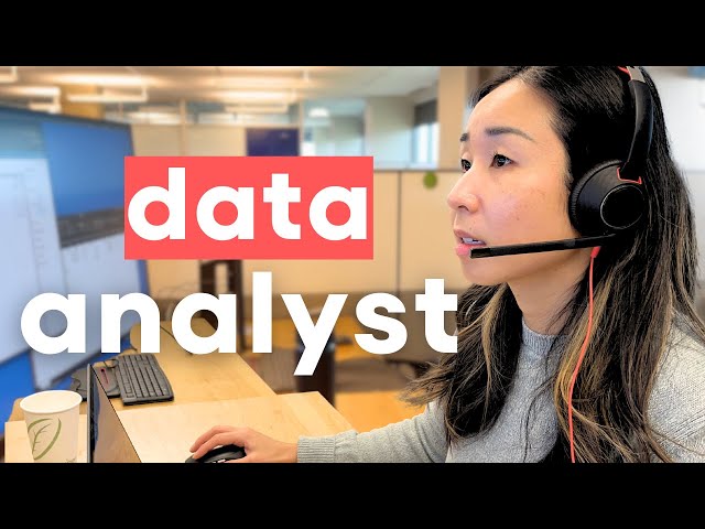 Day in the life of a data analyst (in office)