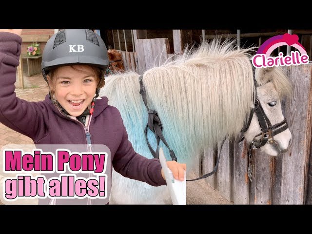 Prüfung auf dem Reiterhof 🐴 Ich mache das Reitabzeichen mit meinem Pony! Shopping Haul | Clarielle