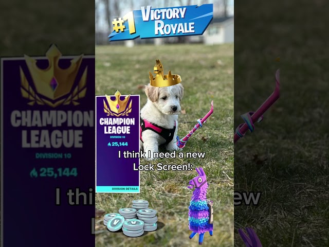 I got that dawg in me!! #fortnite #dogs #victoryroyale #shorts