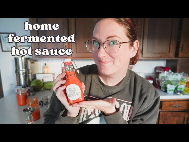 This Fermented Hot Sauce Can Last YEARS 🌶️ lacto fermenting home grown peppers
