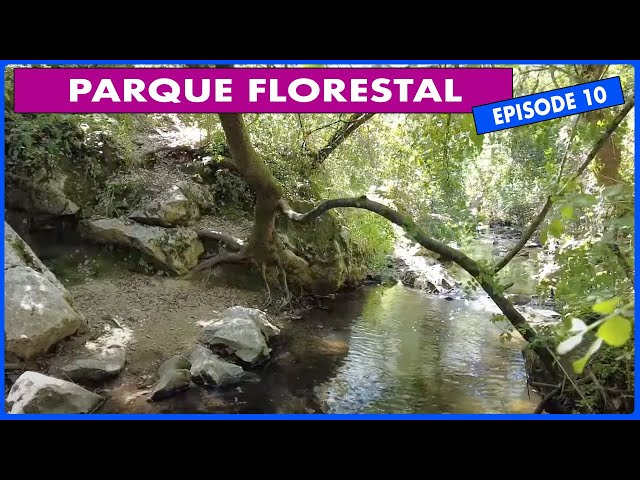 Discovering Portugal: A 7.3km Journey in Parque Florestal de Monsanto #episode10