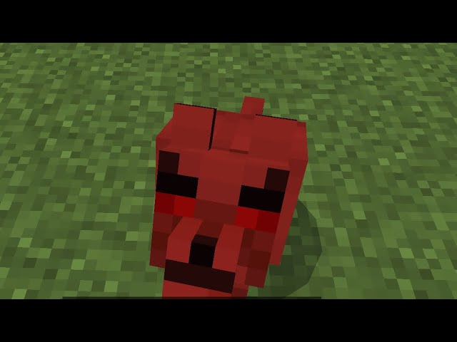 Today I did a video about Minecraft one v one but the blood wolf came out of nowhere