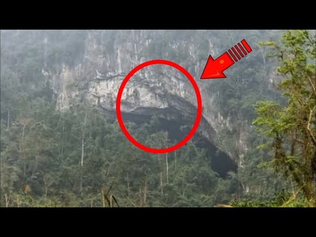 This story shocked the whole world! This is what the guy found in the hidden cave!