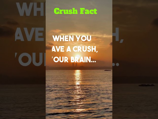 Crush Facts #crush #crushfacts #couple  PART-27
