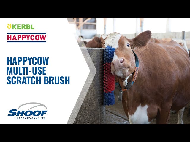 Happycow Multi-Use Scratch Brush