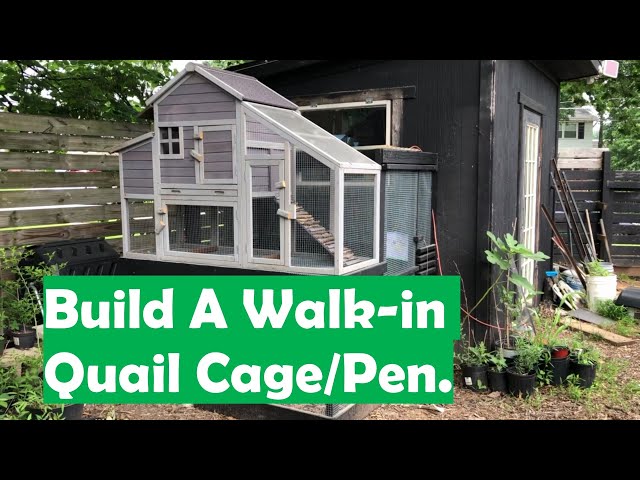 Build A Walk-in Coturnix Quail Cage, Quail Pen. Quail aviary Outdoor Quail Cage, Raising Quail.