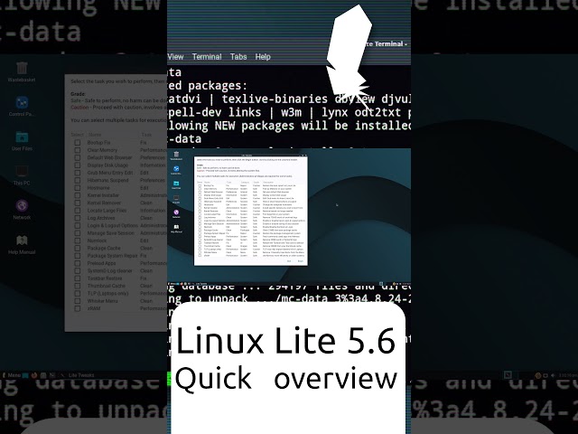 Linux Lite 5.6 Quick overview #Shorts