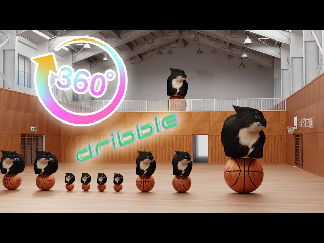 360° Maxwell The Cat Basketball Dribble🏀😸 VR / 4K
