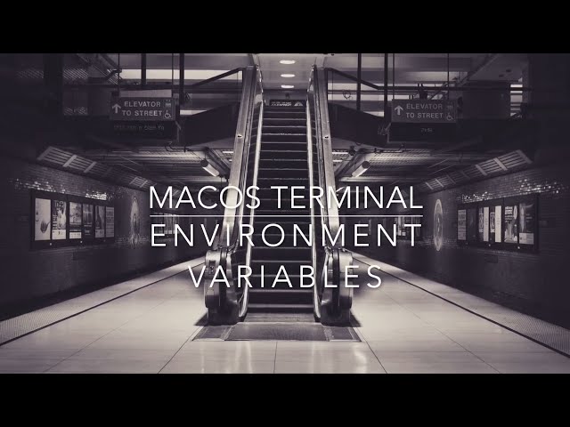 macOS Terminal - Environment Variables