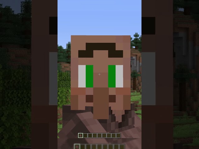 Minecraft Legends Villager Faces