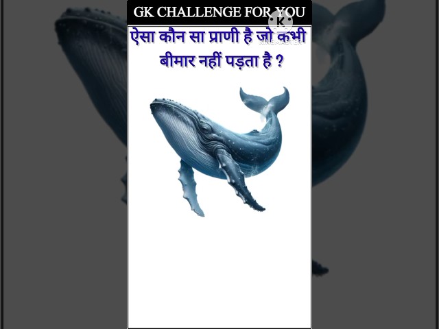 gk ssc|gk quiz |gk question|gk in hindigk|quiz in hindi| #sarkarinaukarigk #rkgkgsstudy #short#0586
