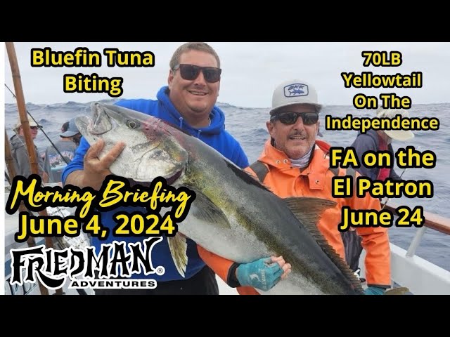 Seventy pound yellowtail, bluefin tuna update, Cabo’s first blue marlin, good surf fishing & more