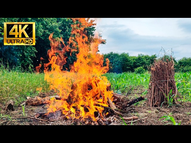 1-Hour Campfire in the Lap of Nature: Fireplace 4k, Fire Sound | 4K Ultra HD 🌿🔥